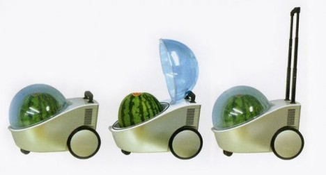 watermelon-portable-cooler-warmer-468x252